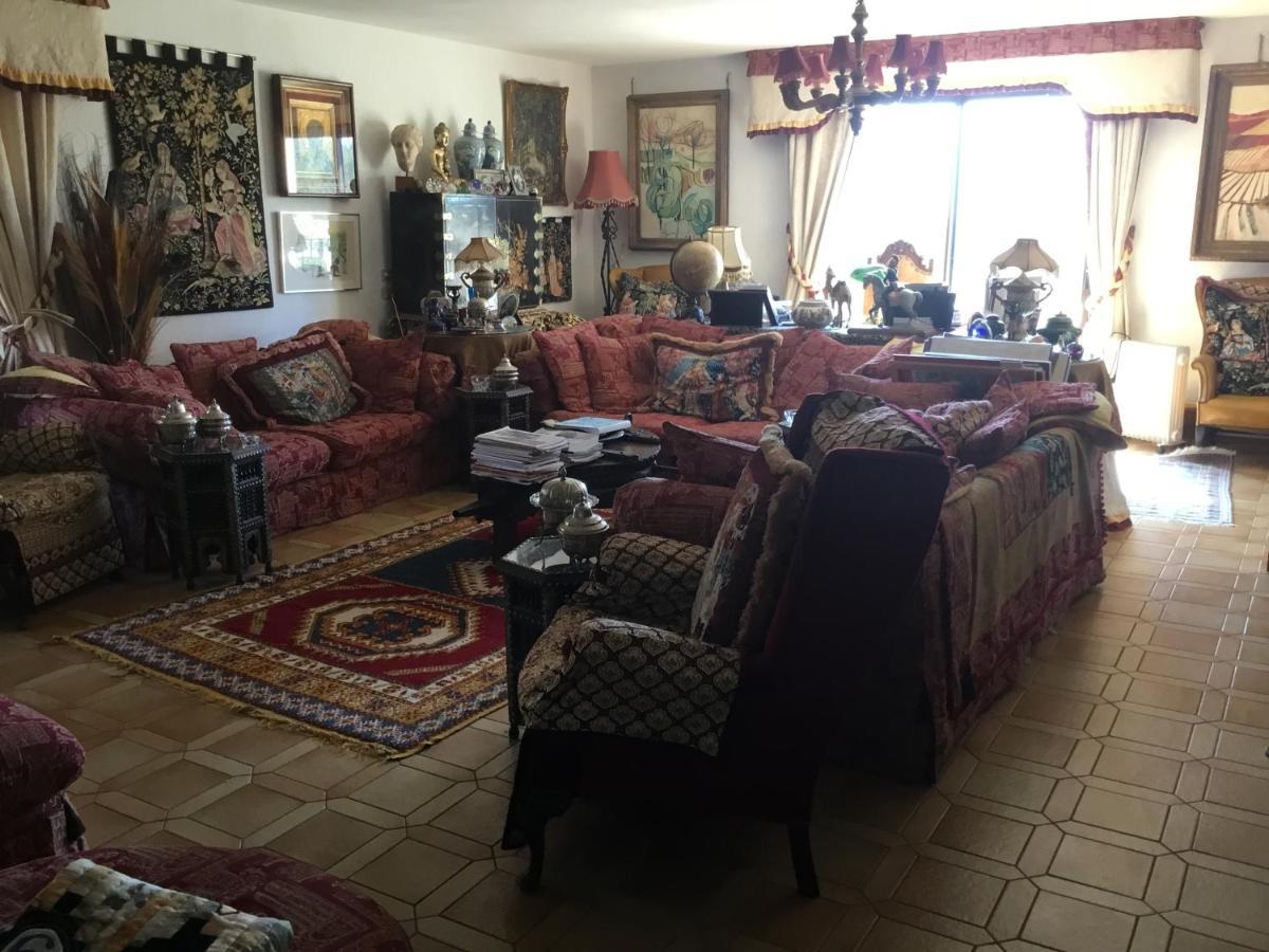 Villa La Cerisaie Ceret Ngoại thất bức ảnh